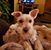 Marty Tillotson's profile image