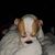 Melissa Richter's profile image