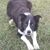 Geoffrey Schaff's profile image