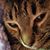 Phaibra Davis's profile image