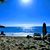 Shelley Kadlec's profile image
