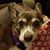 Jennifer A. Sims's profile image