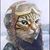 Greg Wilson's profile image
