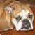 Laura Fullerton's profile image