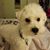 Katherine Marie Allen's profile image
