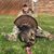 Cain Scantland's profile image