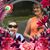 Shelley Phillips's profile image