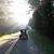Dianne Smith Bumgarner's profile image
