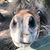 Emma Porter's profile image
