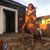Eboni Walker's profile image