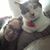 Savannah Blanton's profile image