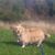 AnneMarie Dowling's profile image