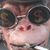 Beachcomber Crew Bcc's profile image