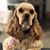 Peggy Follador's profile image