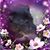 Vivian Seipp's profile image