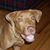Wendy Elliott's profile image
