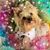 Betty Bonilla's profile image