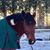 Debbie Nadeau's profile image