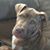 Nancy Minton's profile image