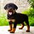 Deb Miller's profile image