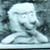 Dennis Haney's profile image