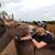 Courtney Bedwell's profile image