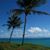 Rich Berich's profile image