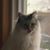 Mary Renneke's profile image