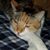 Lindsay Squires's profile image
