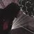 Brianna Zuniga's profile image