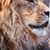 Zaire Goldsmith's profile image