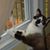 Jewel Baker's profile image