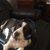 Lori Smyth's profile image