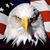 Patrick A. Giannetti Jr.'s profile image