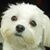 Joseluis Sanchez's profile image