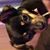Dan Richards's profile image