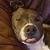 Melissa Krahl Haywood's profile image