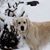 Terri Ann Huffman's profile image