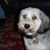 Gayle Knutson Swanson's profile image
