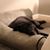 Adriane Fulcher's profile image