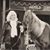 Terri Little's profile image