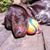 Courtney Reid's profile image