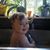 Yulia Kirkpatrick's profile image