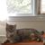Cyndi Reinhold's profile image