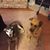 Sue Enderich's profile image