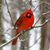 Gina Dyer's profile image