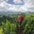 Mark Wingate's profile image