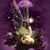 Sue Vail's profile image