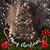 Judith A. Kanaskie Stoshack's profile image