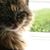 Michele Appoloney's profile image